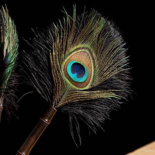 孔雀翎鸵鸟羽MVE静电除尘紫竹根鸡毛桌掸子掸毛茶室面扫灰清洁佛