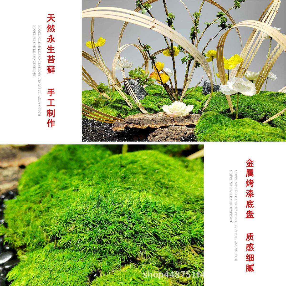 酒店新782式圆形桌永生苔藓装餐饰品样板中花房餐厅桌面艺工艺品