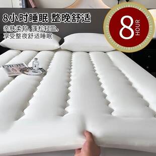 a类床垫宿舍单人床不塌陷租房专用被褥铺底家用加厚棉絮床褥垫子