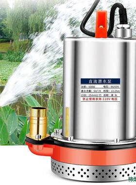 流潜水泵直水12V24V48V60V7V抽泵农用抽水机PLZ2灌溉家用