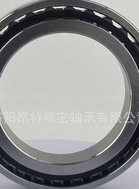 源厂家机床轴轴承N100YHV7K/P4超/P5精密圆柱滚子头轴承可替代进