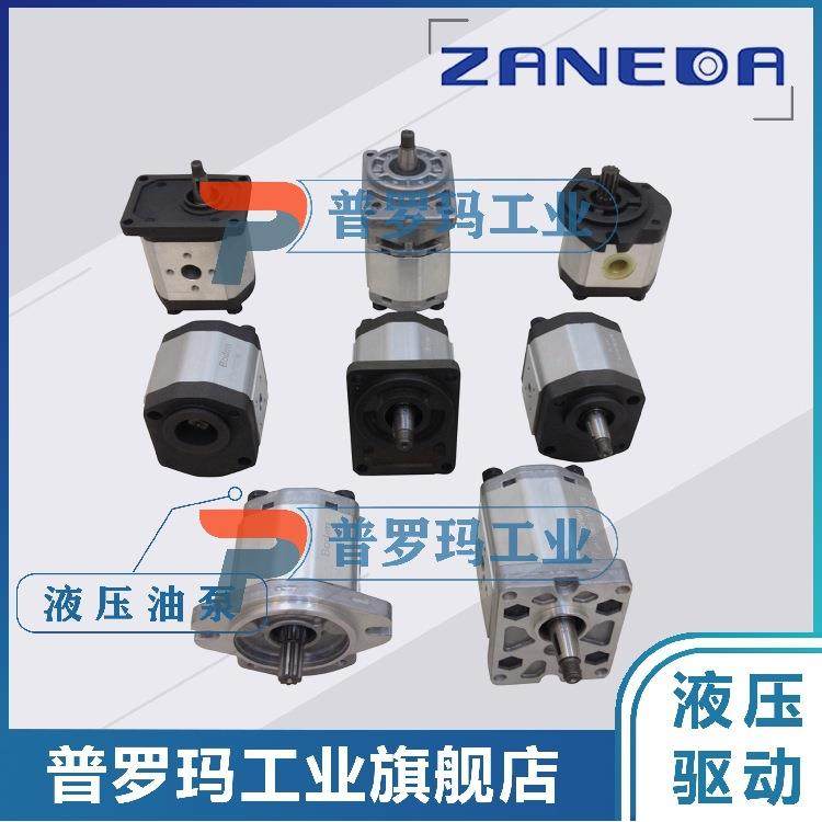 齿轮油泵2ZAPAOD2ZAPB0DB1B2Q1Q2Q0-T0E0/COUO/T1F0,标准件/零部件/工业耗材,液压泵,淘宝优惠券,粉丝福利购,淘宝优惠卷