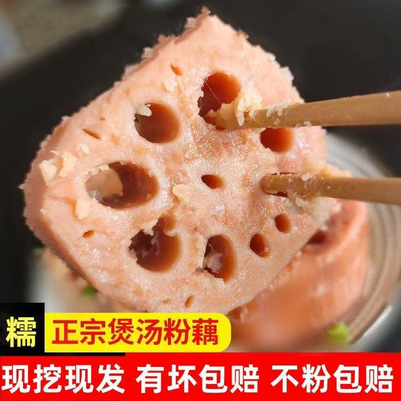 现挖带泥2025正宗湖北粉藕包邮