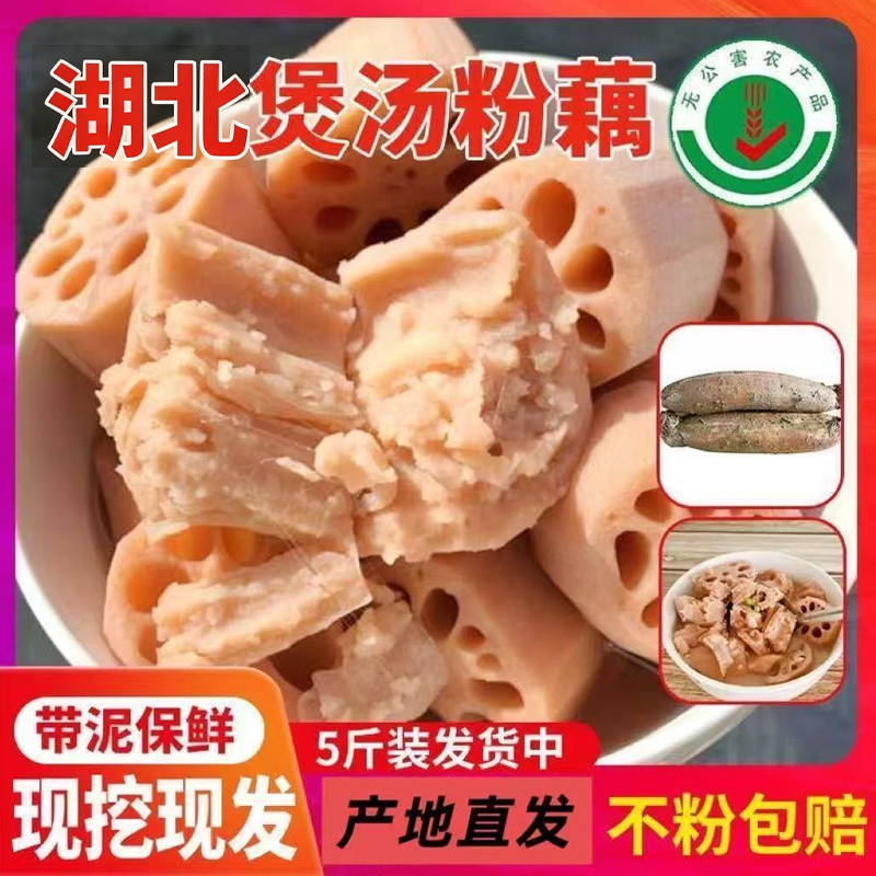 正宗湖北粉藕九孔藕莲藕中段新鲜