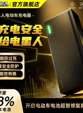 铅酸电池充电器通用电动车48v60v72v新国标品字头自动断电智能款