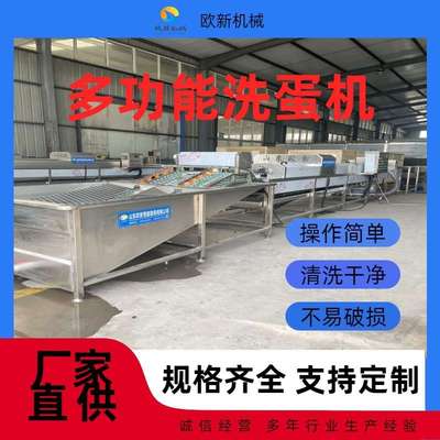 多功能养殖场鸡蛋鸭蛋洗蛋机商用大型全自动蛋品清洗机洗蛋机厂家