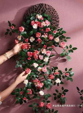 zbds蔷薇花墙壁挂花藤装饰墙面假花摆设客厅藤蔓遮挡装饰吊兰挂花