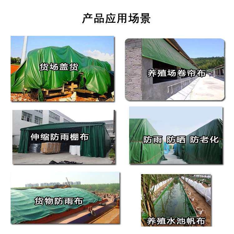 东和涂塑布抗老化塑料篷布货场盖布防雨苫布加厚帆布卷工厂 价