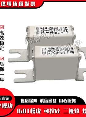 170M1750 170M1751 170M1752 170M1753 170M1754巴斯曼熔断器