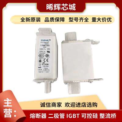 直供170M2613 170M2614 圆柱形熔断器型号齐全电子元器件现货批次