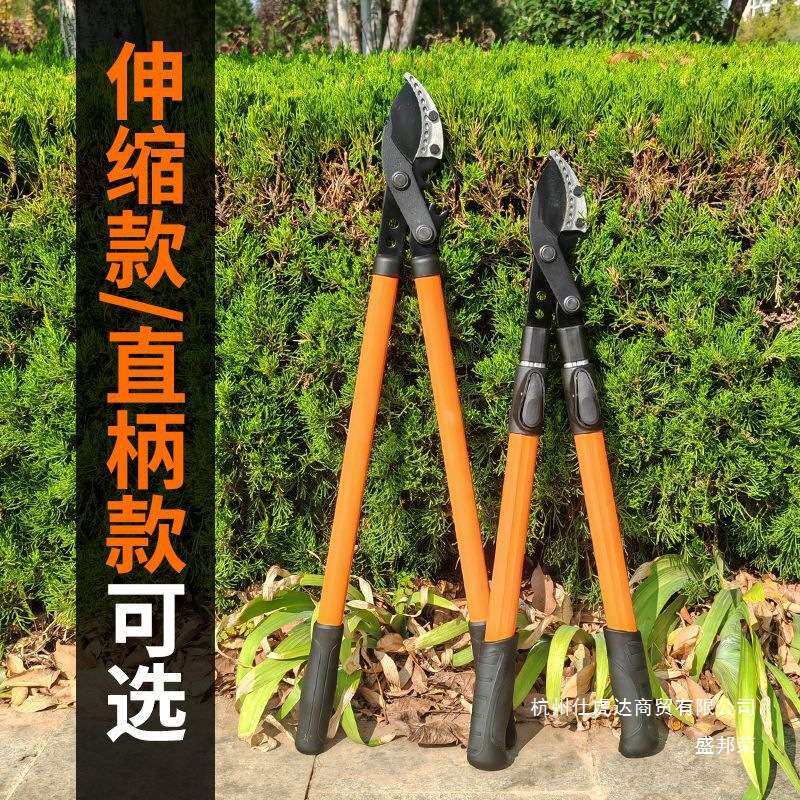 修枝剪粗枝大力剪齿轮助力树高枝剪大全高空剪加长园林果树其他