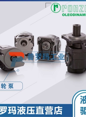 罗茨ronzio Greo pump 02ZAG06/08/11/14/17/20/25E034D ABCHFG