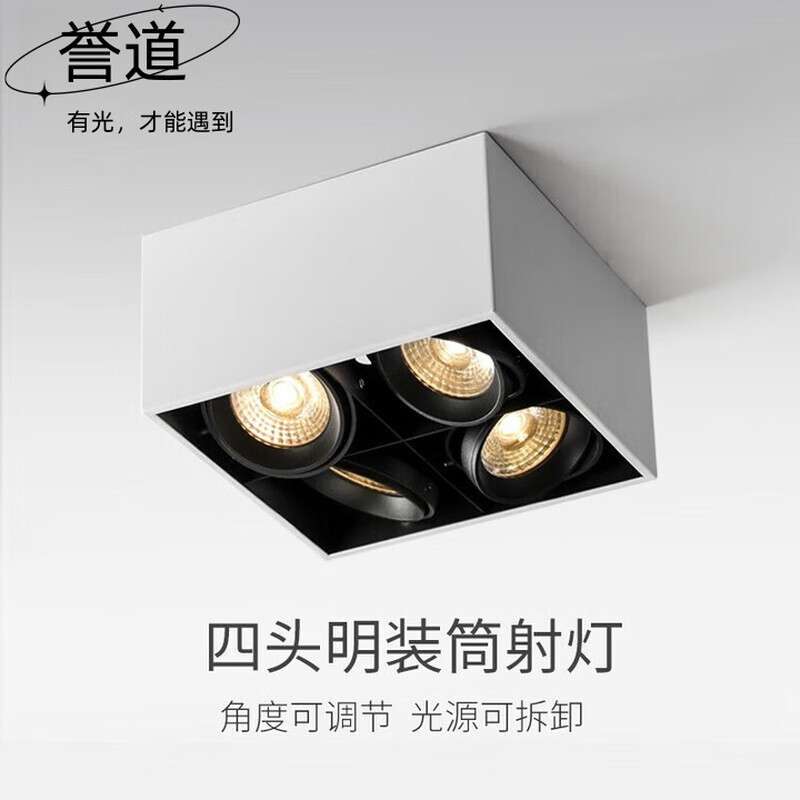 誉道四头斗胆灯射灯led天花灯牛眼灯客厅明装格栅灯走廊灯服装店