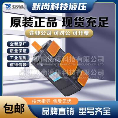 YLC仙居永灵叶片泵SQP41-66/14-86CAF-R/SQP41-45/11-86CAF-R油泵