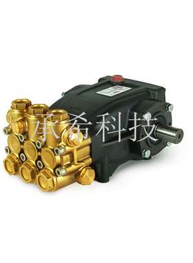 意大利 高压柱塞泵  MAZZONI 玛佐尼--MMD15250,MMD21250