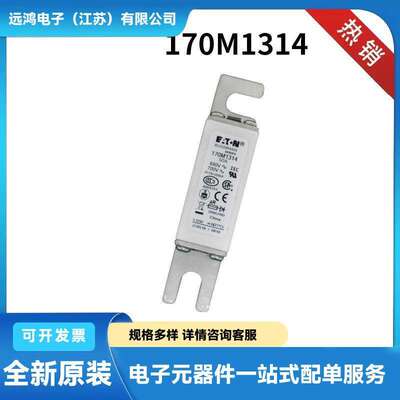 170M1314 170M1313 170M1315原装货源快速熔断器熔断器标准