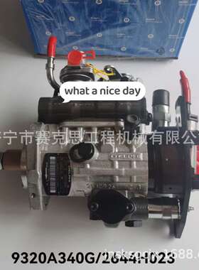 适用卡特3054C发动机燃油泵 2644H023 9320A340G 济宁赛克思