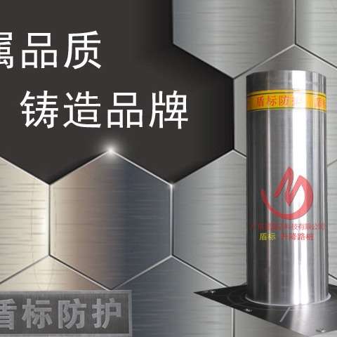升降路桩 人行道 公园等人员密集场所进行人车分流 劝阻型伸缩柱