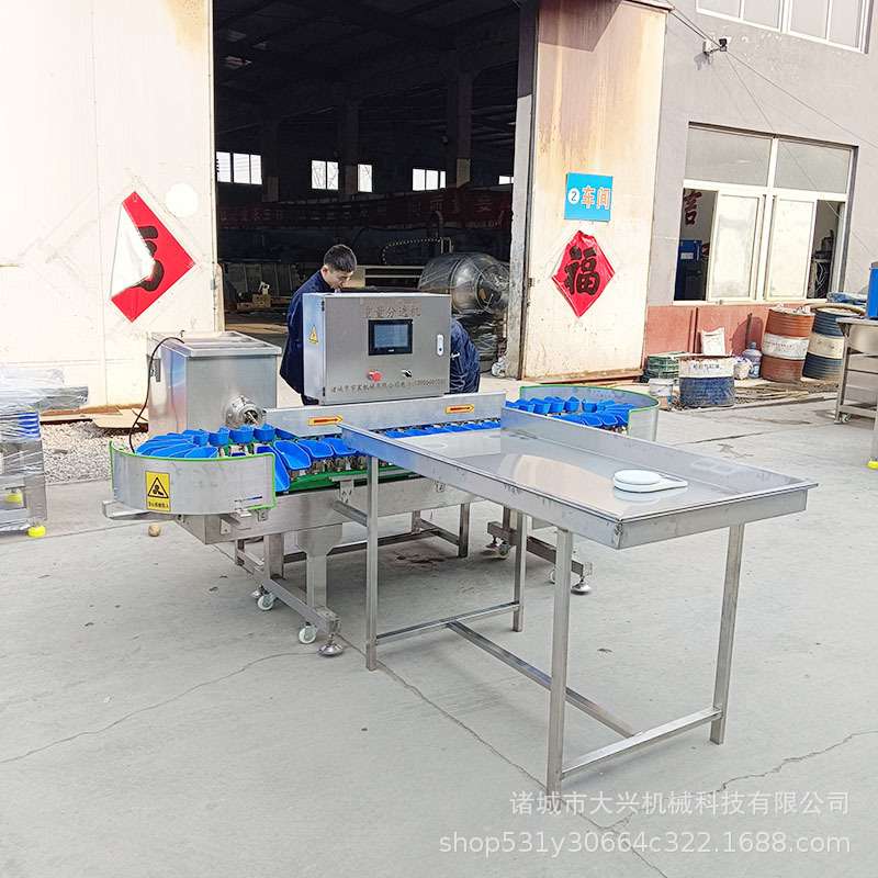 多宝鱼称重分拣机海蛎子海参自动分选机鱿鱼鲍鱼大小重量分级机