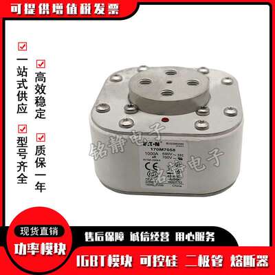 170M7802 170M7803 170M7804 170M7217巴斯曼熔断器170M7597