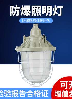 400WLED防爆灯照明灯工矿灯大功率防爆型灯防爆照明无极灯