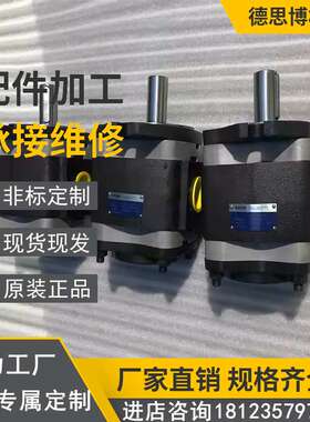 德国福伊特高压齿轮泵IPH6-125-101矿山机械机械油泵IPV3/4/5/6/7