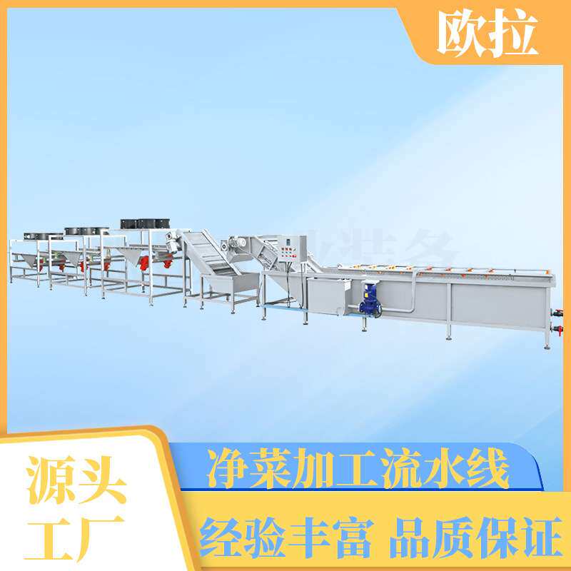贡菜茼蒿辣椒清洗加工设备 多功能清洗机 小河虾小黄鱼清洗去泥机