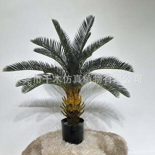 假树仿真苏铁树盆栽室内外落地装饰绿植摆设庭院苏铁树植物盆景