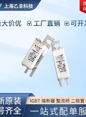 巴斯曼熔断器  170M1535 170M1558 170M1559 170M1560 170M1561