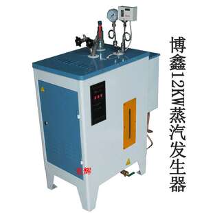 博鑫12KW蒸汽发生器 全自动电锅炉服装熨烫设备