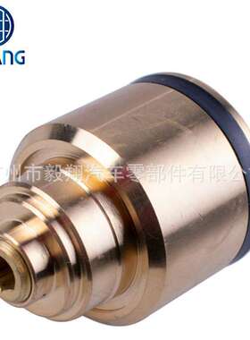 适用 AC scroll compressor control valve Ford Jaguar Mazda