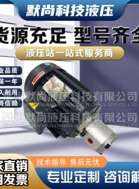 液压油泵电机组HGP-1A+1.5KW2.2KW总成内轴电机液压站配件系统