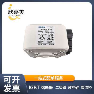 170M6462  170M6463   快速熔断器  保险丝 电子元器件 量大价优