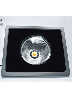 COB投射灯聚光灯50W80W100W工矿灯室外防水广场照明灯具厂家直销
