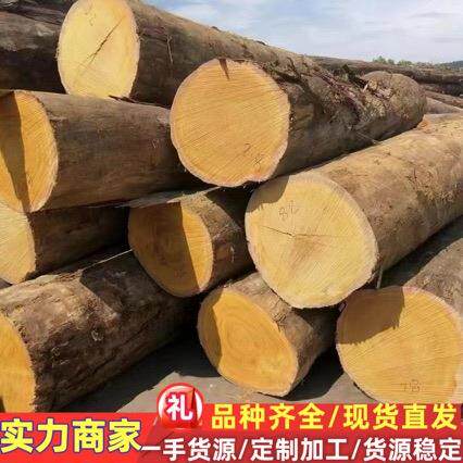 黄硬木黄胆木 原木木棒 加工黄胆木棺木 黄硬木防腐木 黄乳木木棒