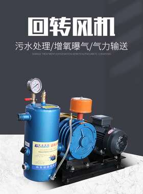 曝气回转式鼓风机供应污水搅拌回转风机厂家401S大风量排风送风