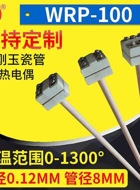 可做货热电偶刚玉管铂铑S型WRP-100型小精密耐高温