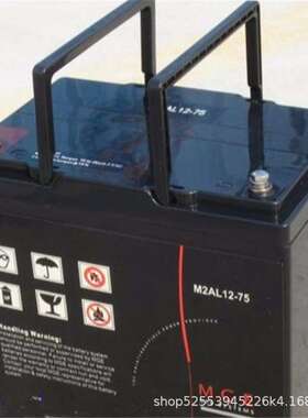 APC蓄电池12V90AH 铅酸M2AL12-90机房ups 照明用 尺寸306/169/214