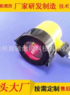 火检探头|火检探头\XT.5SL\220V