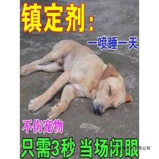 狗狗麻醉镇定剂快速睡觉猫咪安眠情绪安抚狗乱叫咬片