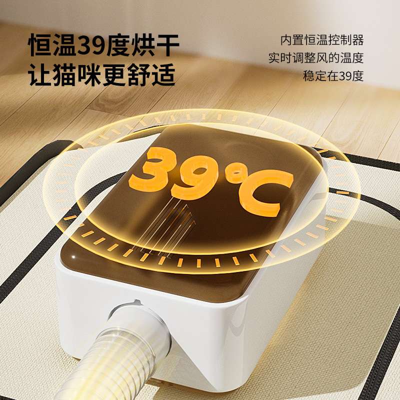 宠物烘干箱烘干机猫咪洗澡吹干家用小型静音吹毛吹风狗狗烘干机