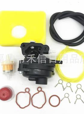 799583 593261化油器组合B&S 595656 591979 591160 08P502发动机