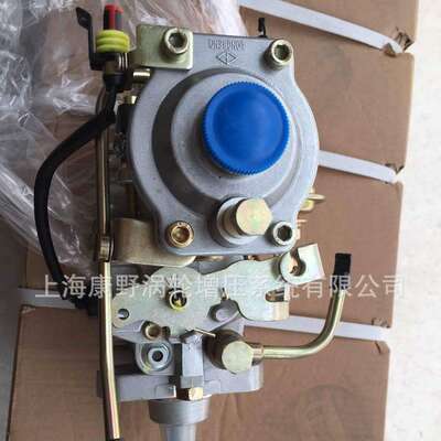 康明斯喷油泵0002060093和 0002060105和0460424057 3917539