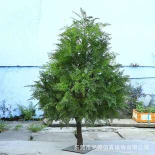 仿真水杉树仿真松柏树 人造假树室内外装饰园林造景 厂家直销