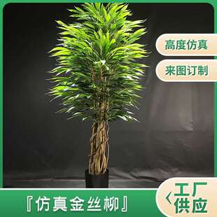 金丝柳绿植  北欧室内餐厅酒店大型免浇水带盆装饰绿植盆栽