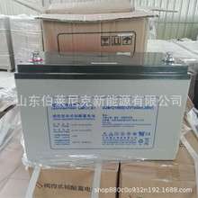 NPP耐普蓄电池NPG12-100(12V100AH)胶体免维护太阳能路灯蓄电池