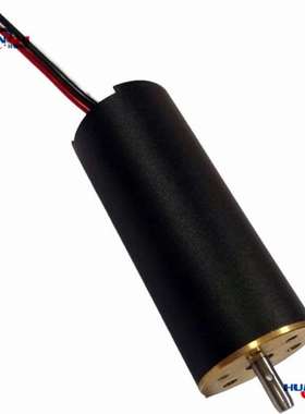 微型无刷电动机2050mm  空心杯电机12000RPM 直流12V 24V