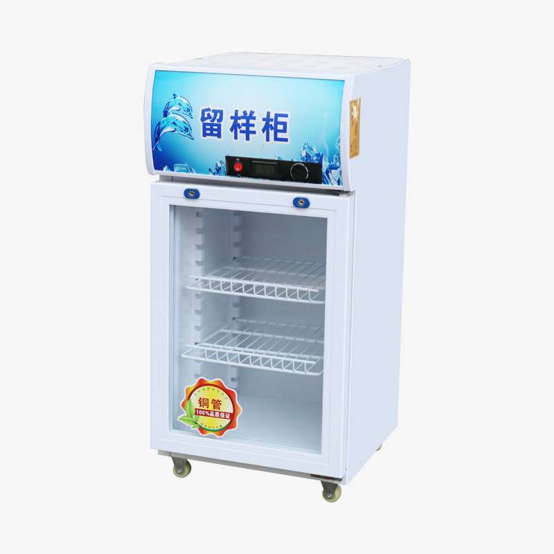 食品留样柜冷藏保鲜幼儿园带锁餐厅食堂单门家用冰箱展示柜立式