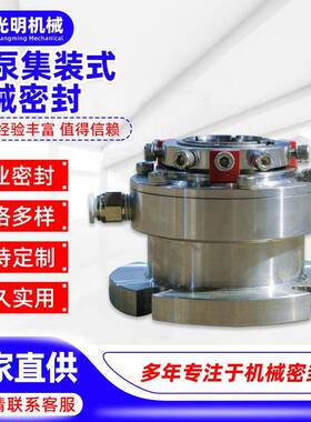 IH泵集装式机械密封 厂家现货充足发货及时集装式机械密封件