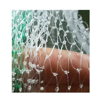 果树鸟防护网果园葡萄防止吃果子的网尼龙网蓝莓防鸟天网樱桃神器